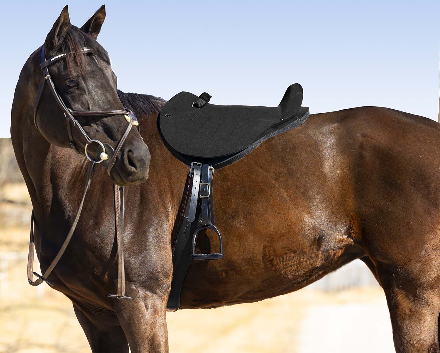 Mustang English Soft Ride, Black - Healthber