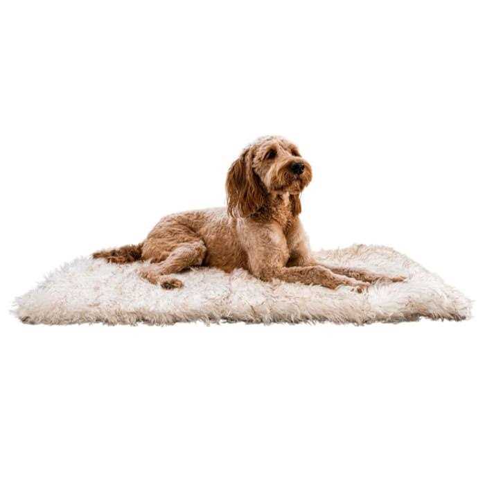 Paw PupRug Portable Orthopedic Dog Bed White - Healthber