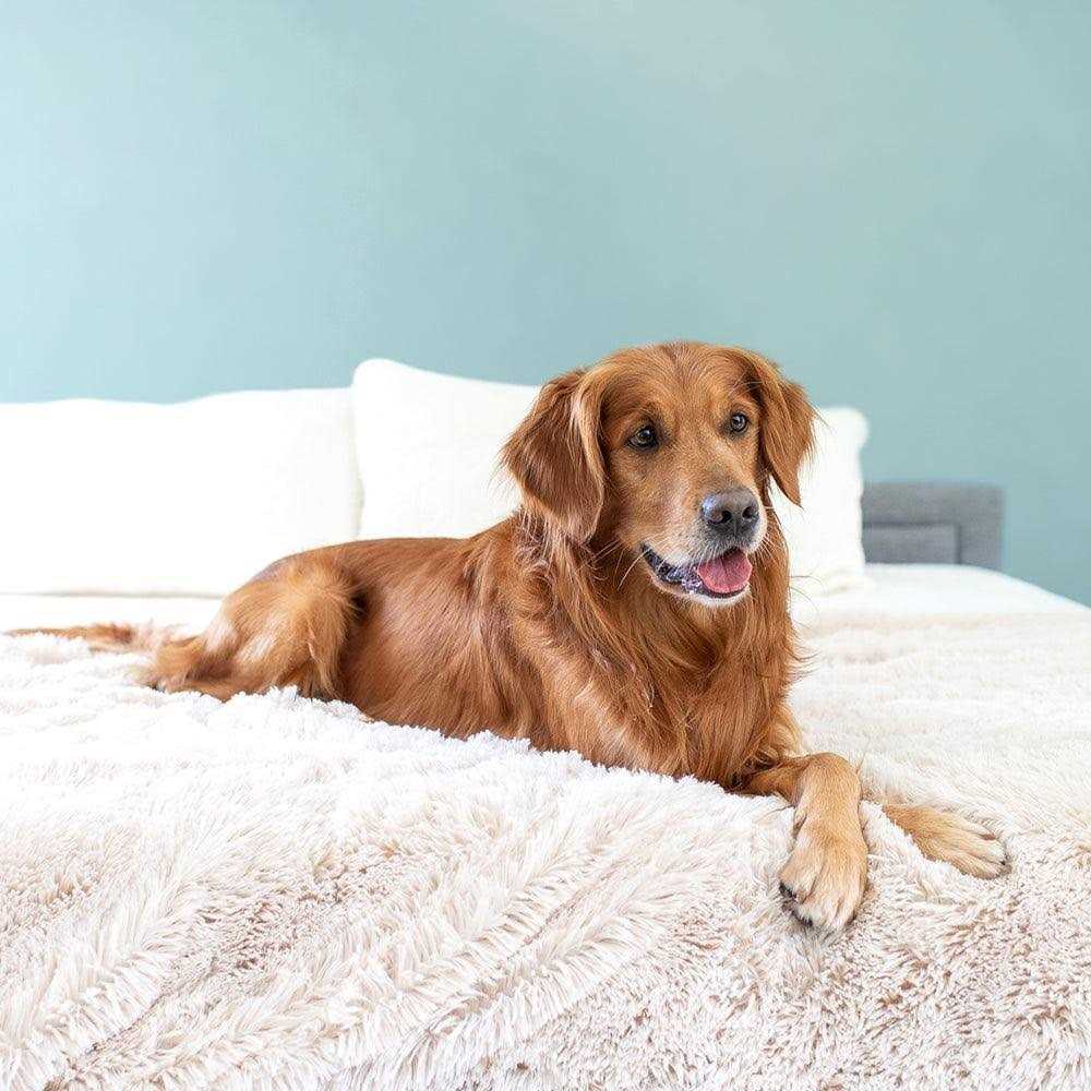 PawProof Throw Blanket - Healthber