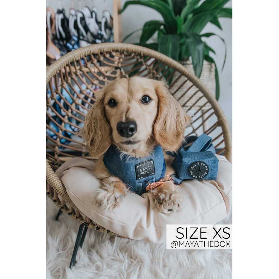 Adjustable Harness Sassy Woof - Healthber