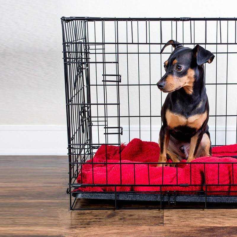 Paws & Pals Replacement Tray for Dog Crate Pans Medium 24 Inch Plastic Bottom Pan Floor Liners for Pet Cages Crates Kennels Dogs Cat Rabbit Ferret - Healthber