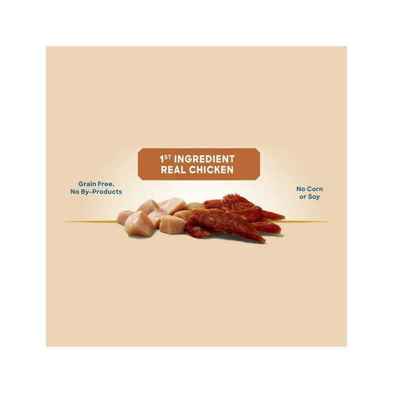 Golden Rewards Chicken Jerky Premium Dog Treats - Healthber