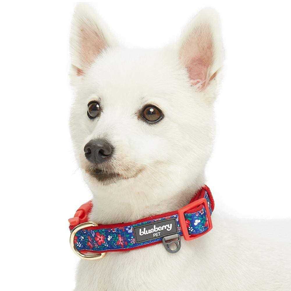 Blueberry Pet Dog Collar - Healthber