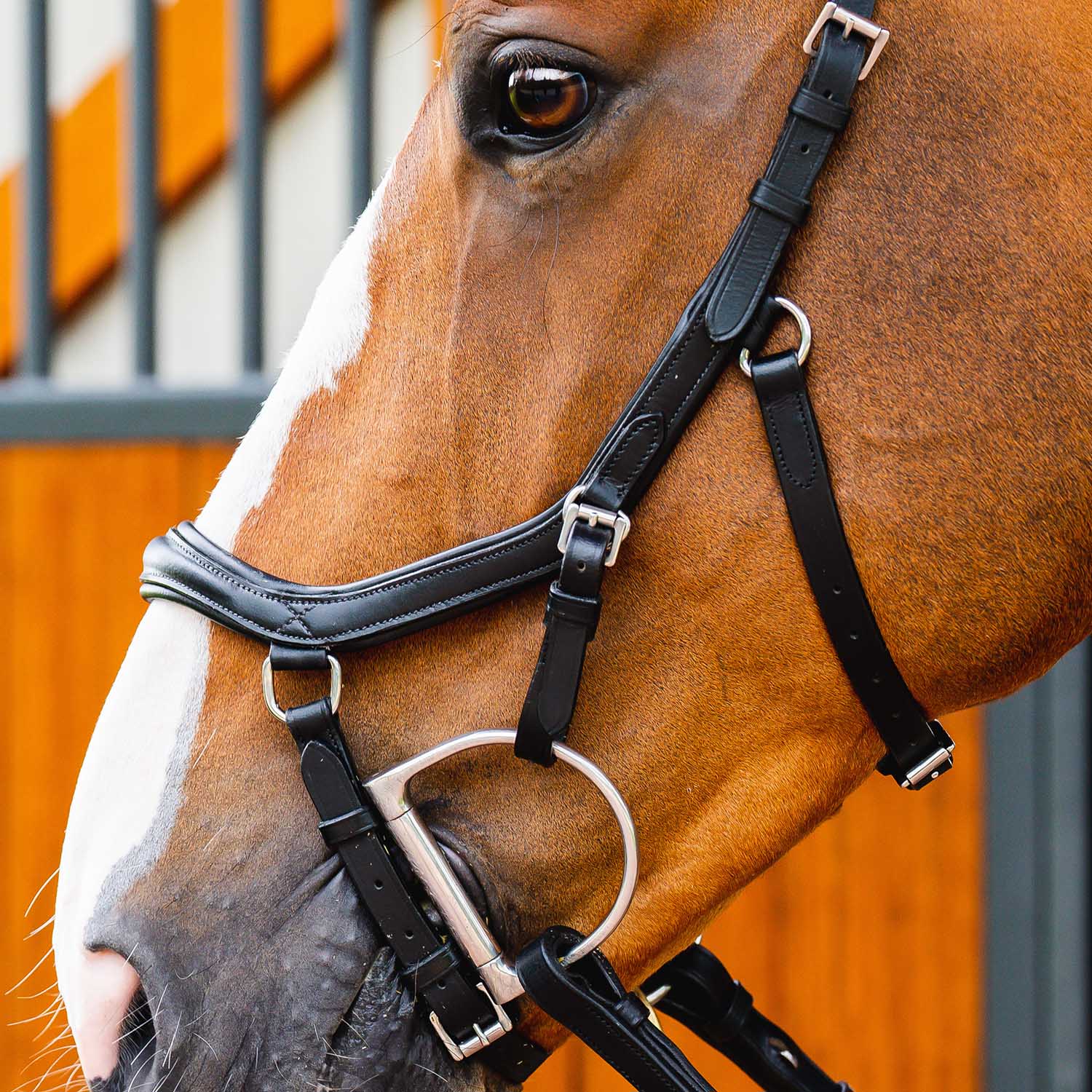 Micklem 2.0 Deluxe Competition Bridle, Black - Healthber