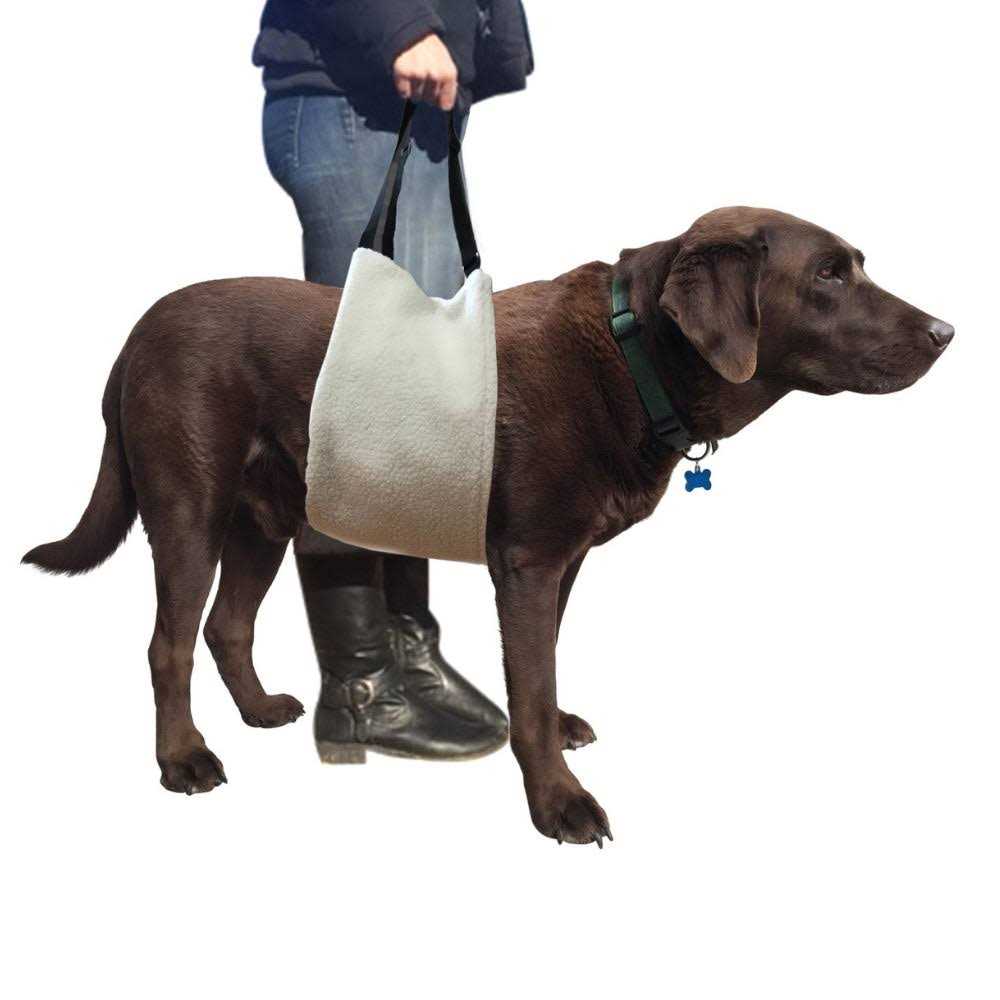 Labra Dog Veterinarian Approved Plush Soft Canine Sling Adjustable Straps - Healthber