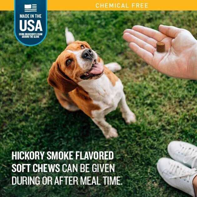 VetIQ Hickory Smoke Flavored Soft Chews Flea & Tick Support for Dogs - Healthber