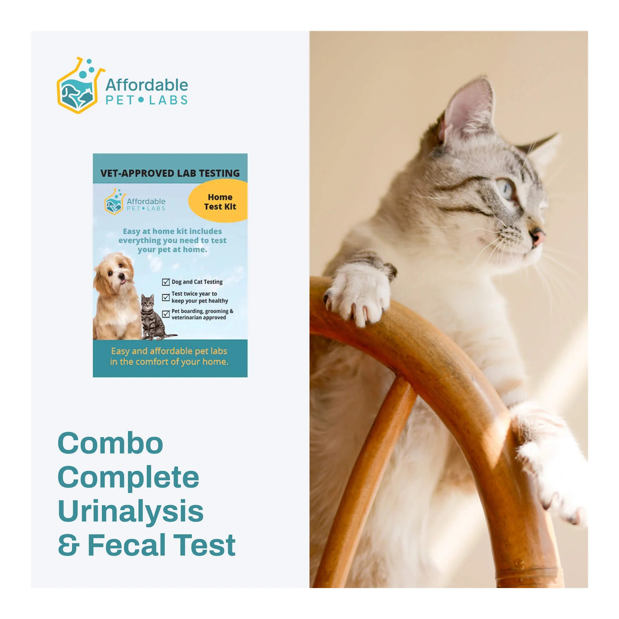 Affordable Pet Labs - Combo Complete Urinalysis & Fecal Test For Cats, Easy Home Kit - Healthber