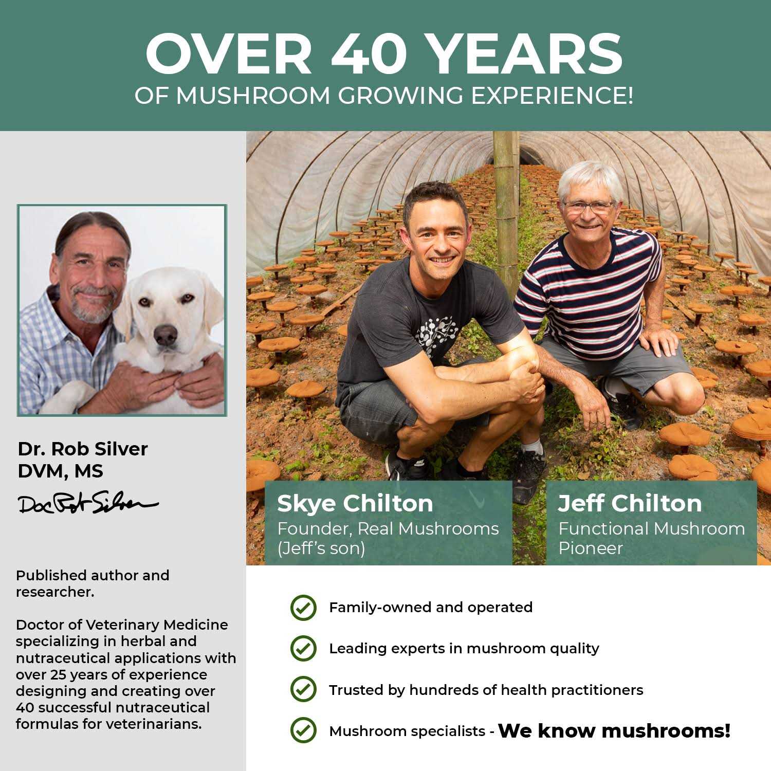 Real Mushrooms 5 Defenders Organic Mushroom Blend - Healthber