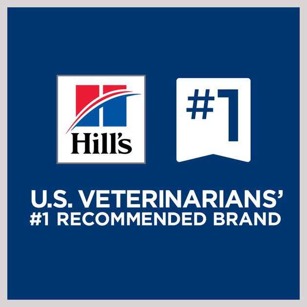 Hill’s Prescription Diet ONC Care Chicken & Vegetable Stew Wet Cat Food - Healthber