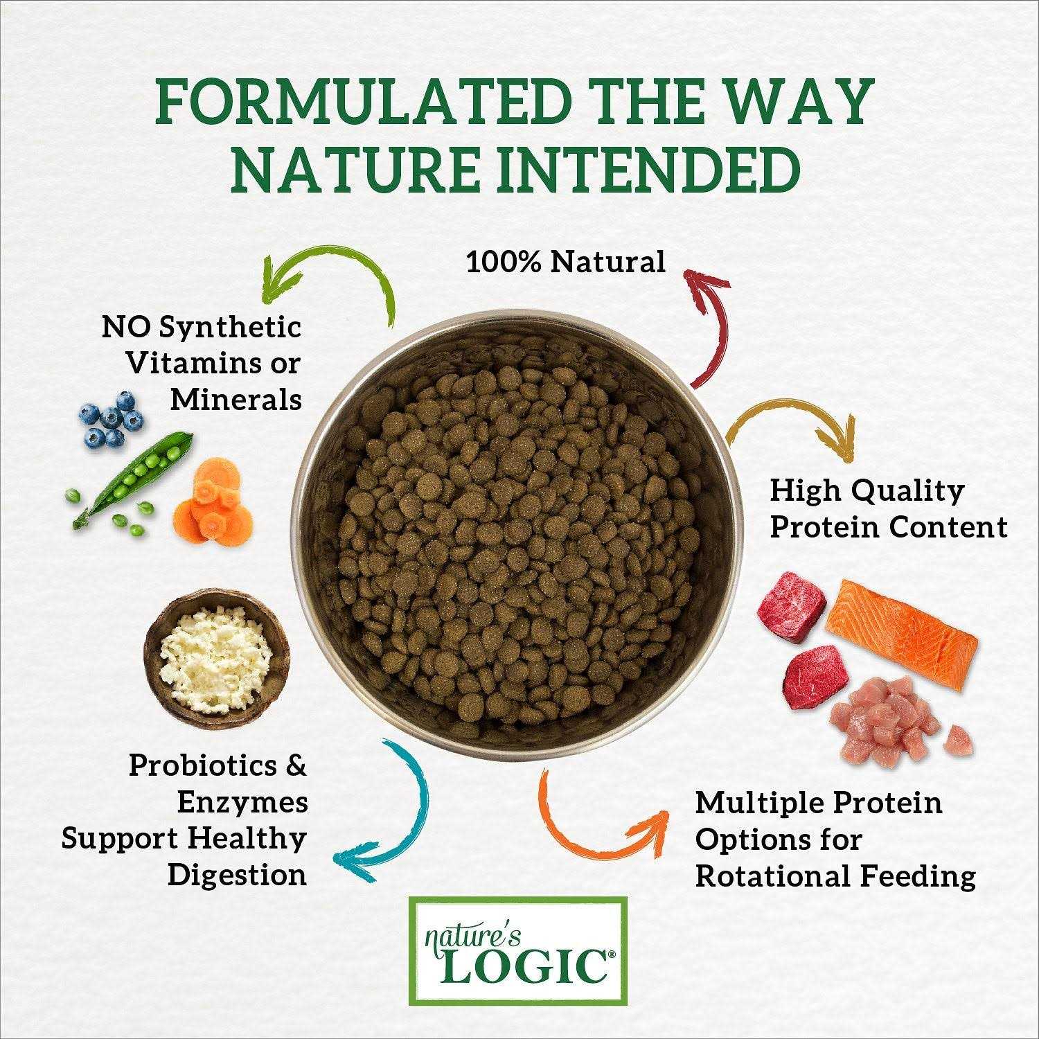Nature’s Logic Canine Beef Meal Feast Grain-Free Dry Dog Food - Healthber