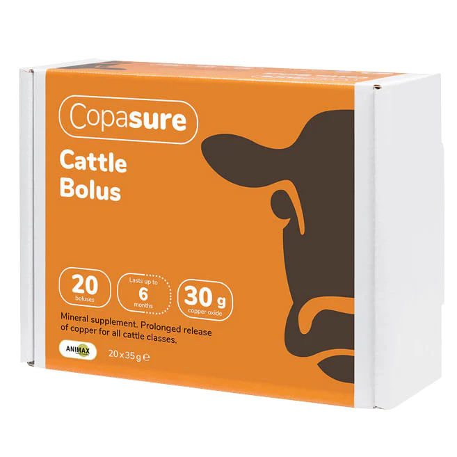 Copasure Bolus for Cattle - Healthber