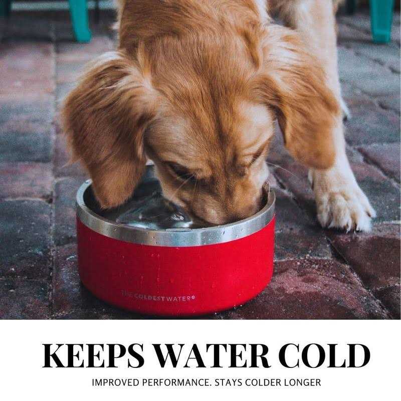 Coldest Dog Bowl Stainless Steel Non Slip No Spill Proof Skid Metal Insulated Dog Bowls - Healthber
