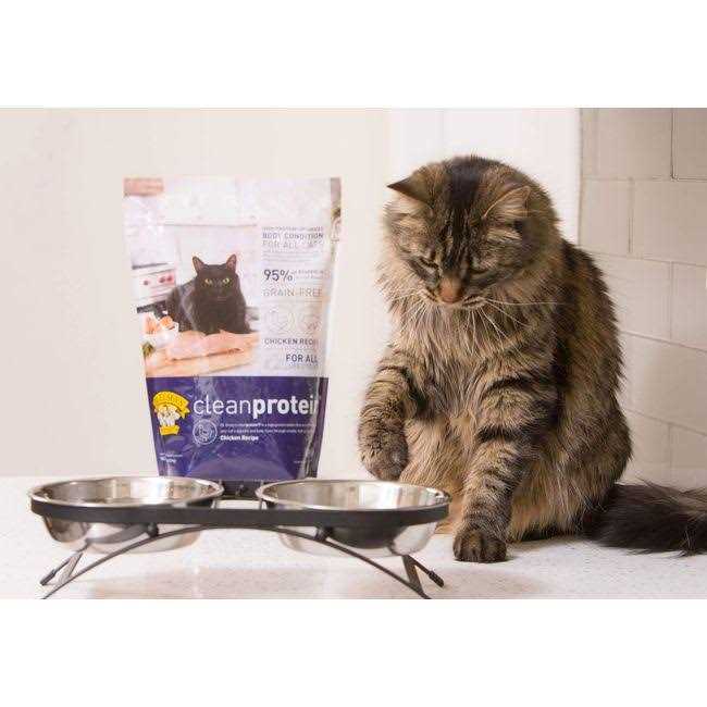 Dr. Elsey&s cleanprotein Chicken Formula Dry Cat Food - Healthber
