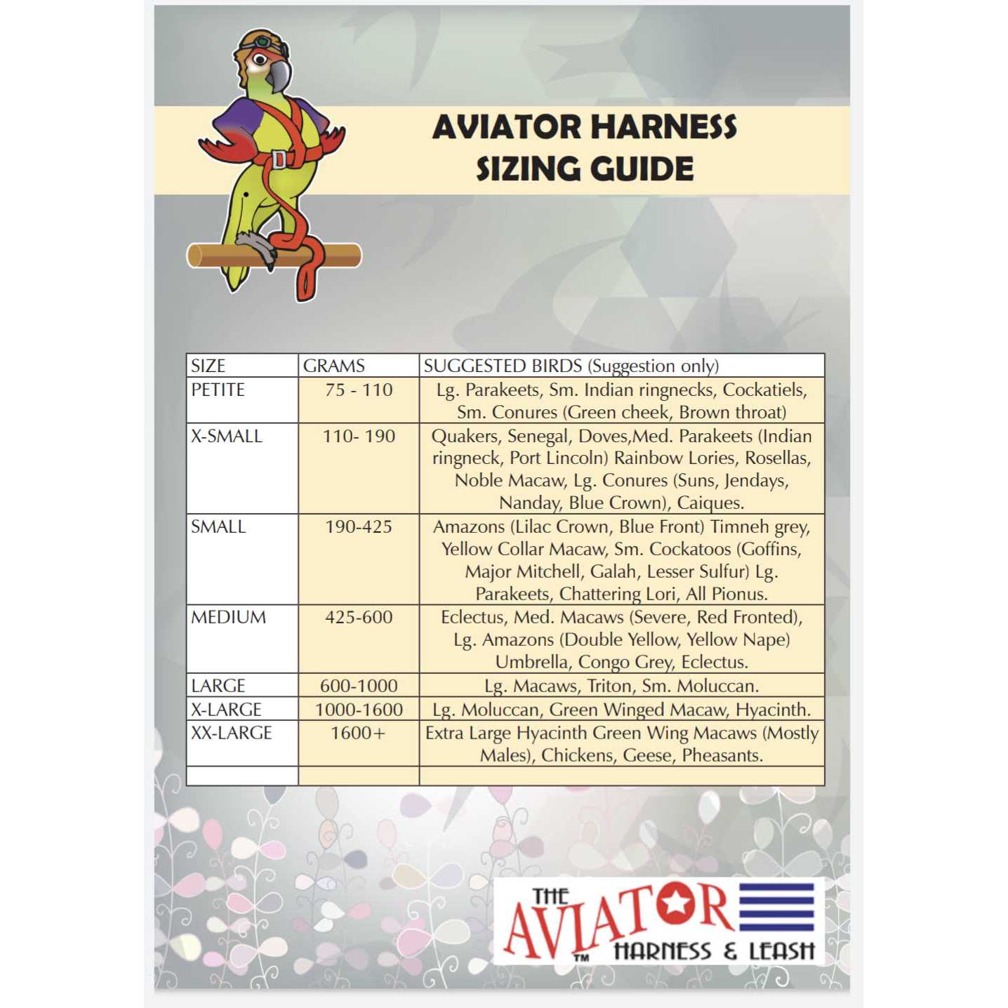 The Aviator Bird Harness and Leash - Healthber