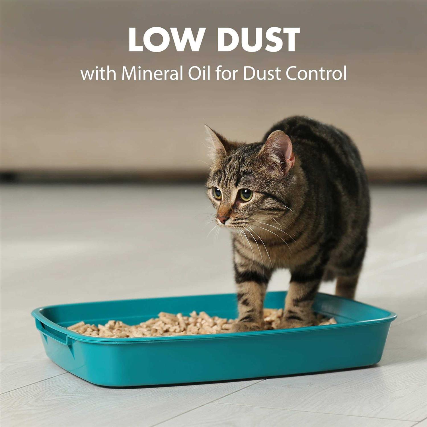 Arm & Hammer Naturals Multi-Cat Litter - Healthber