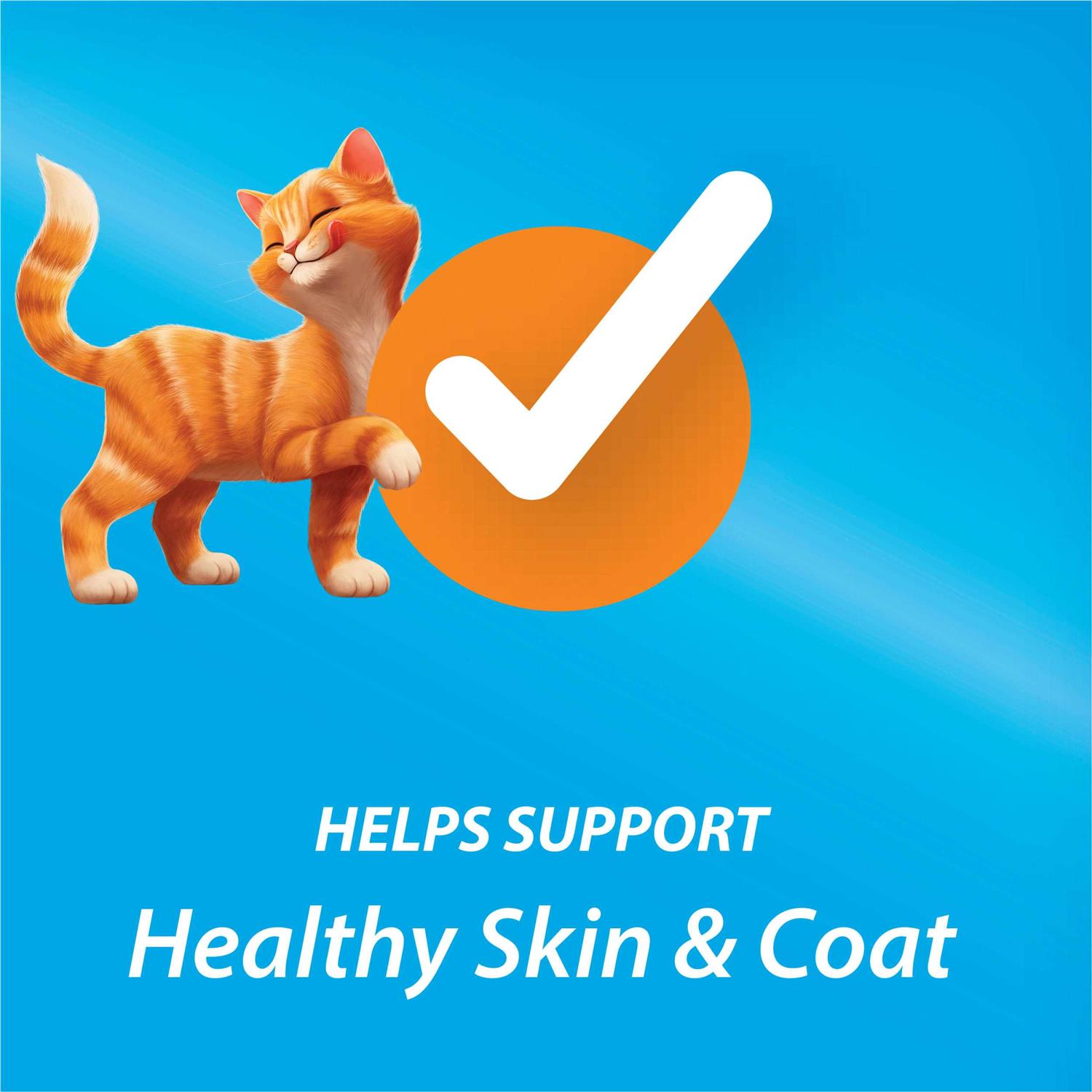 Purina Kit & Kaboodle Dry Cat Food - Healthber