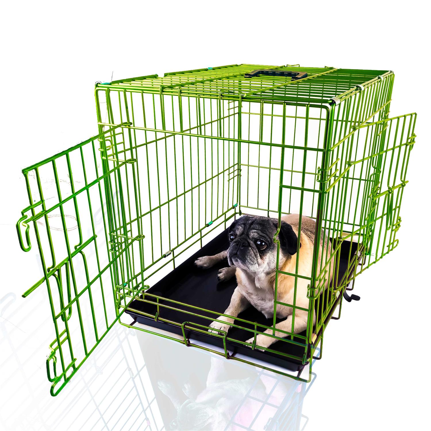 Pet Expressions Colored Metal Wire Dog Crate - Healthber