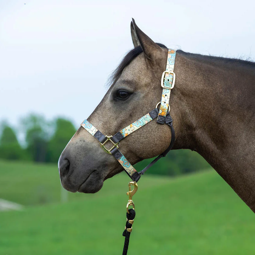 Weaver Nylon Overlay Halter - Healthber
