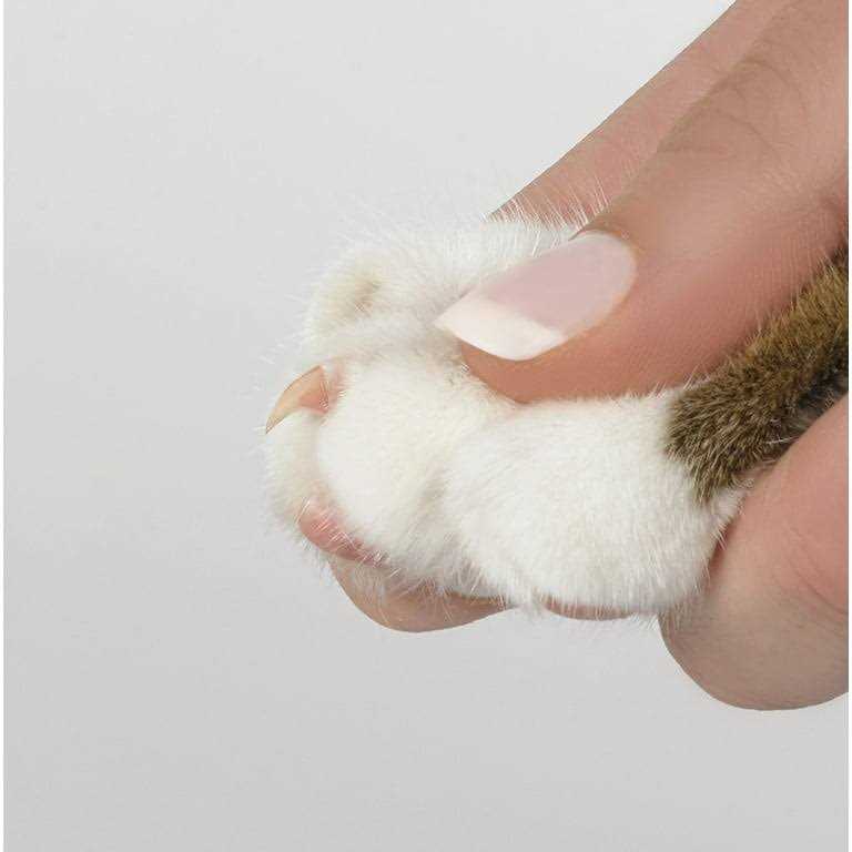 Oster Gentle Paws Nail Grinder Replacement Bands Accessory Kit for Dog and Cats - Healthber