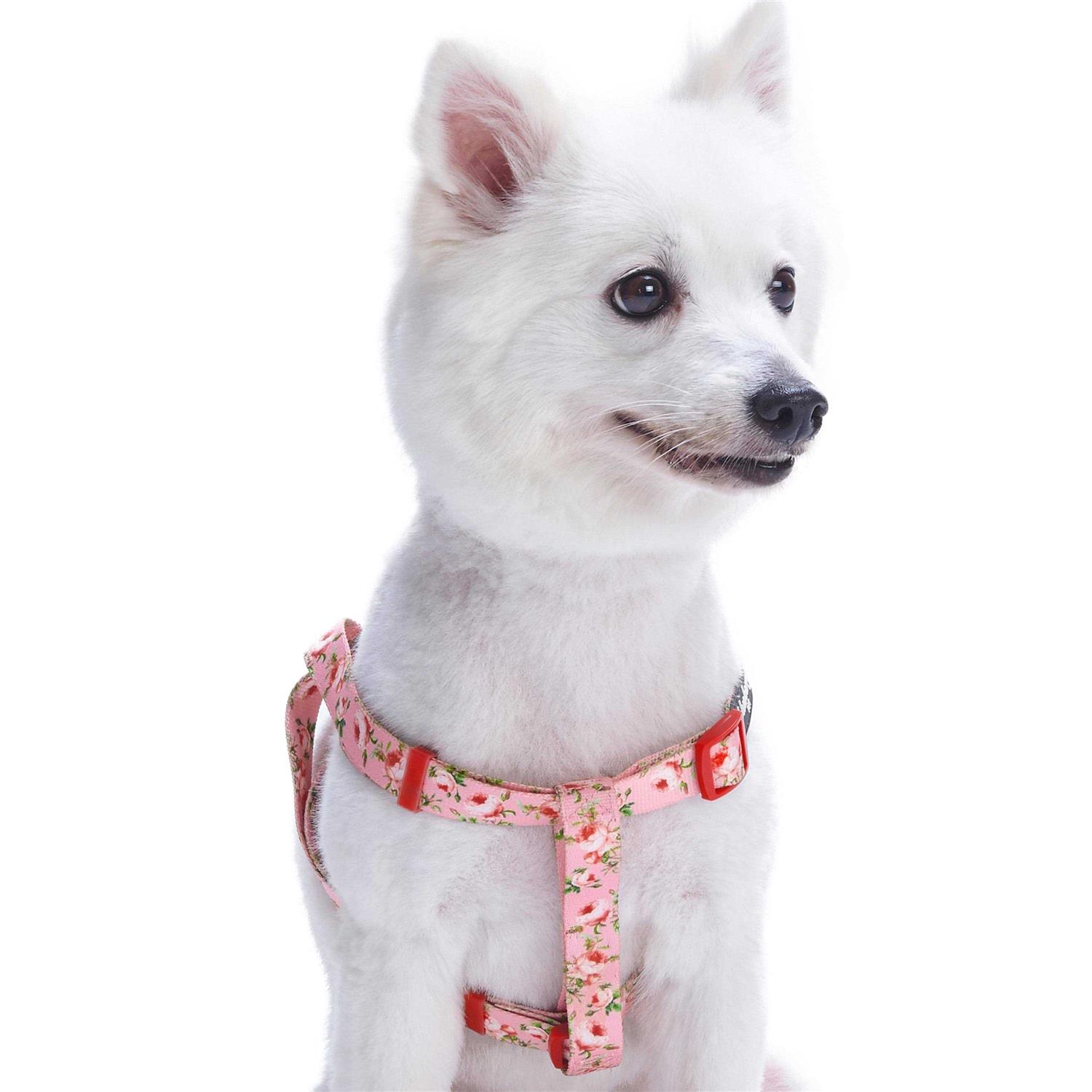 Blueberry Pet Step Dog Harness - Healthber