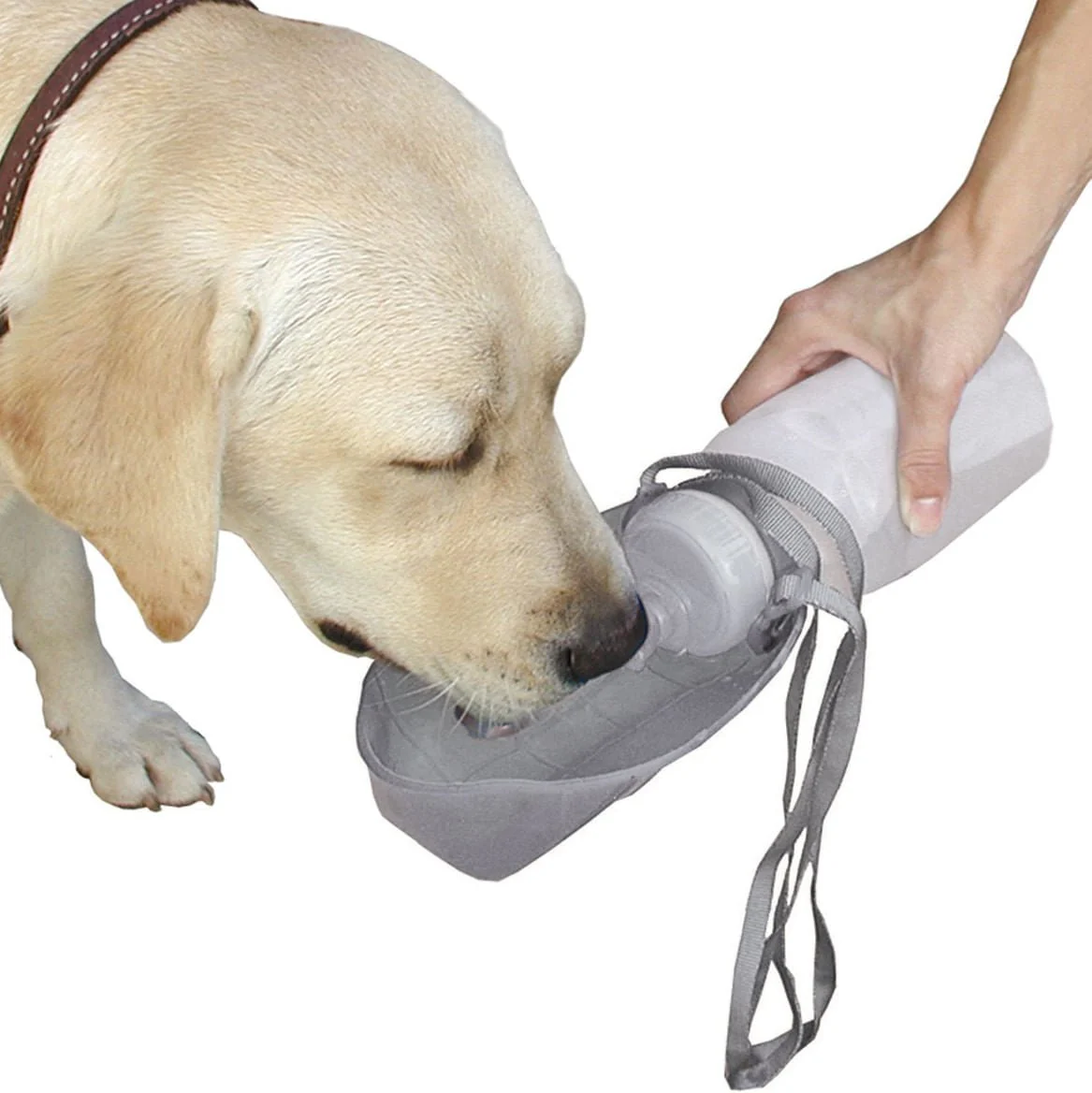 Lixit Thirsty Dog Sport Bottle, 20 oz - Healthber