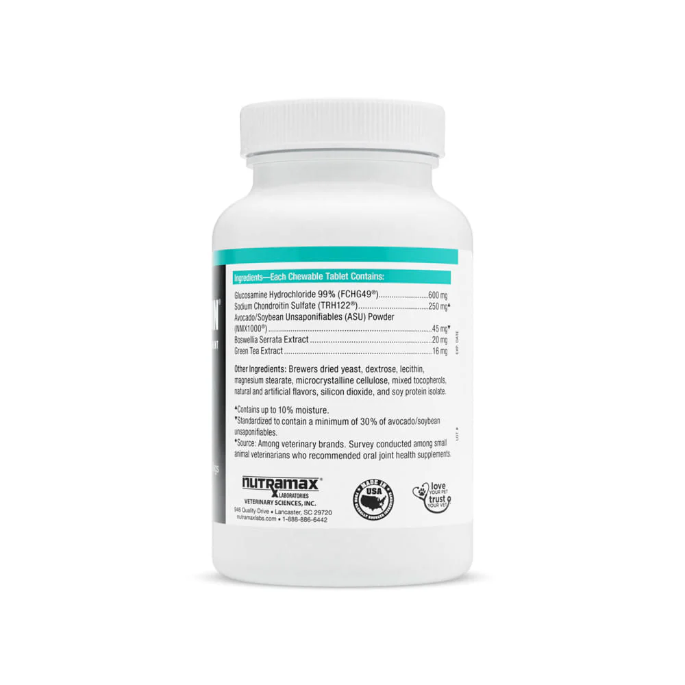 Nutramax Dasuquin for Dogs, Joint Health Supplement, Contains Glucosamine, Plus Chondroitin, ASU, and More, Supports Healthy Joints, Chewable Tablets - Healthber