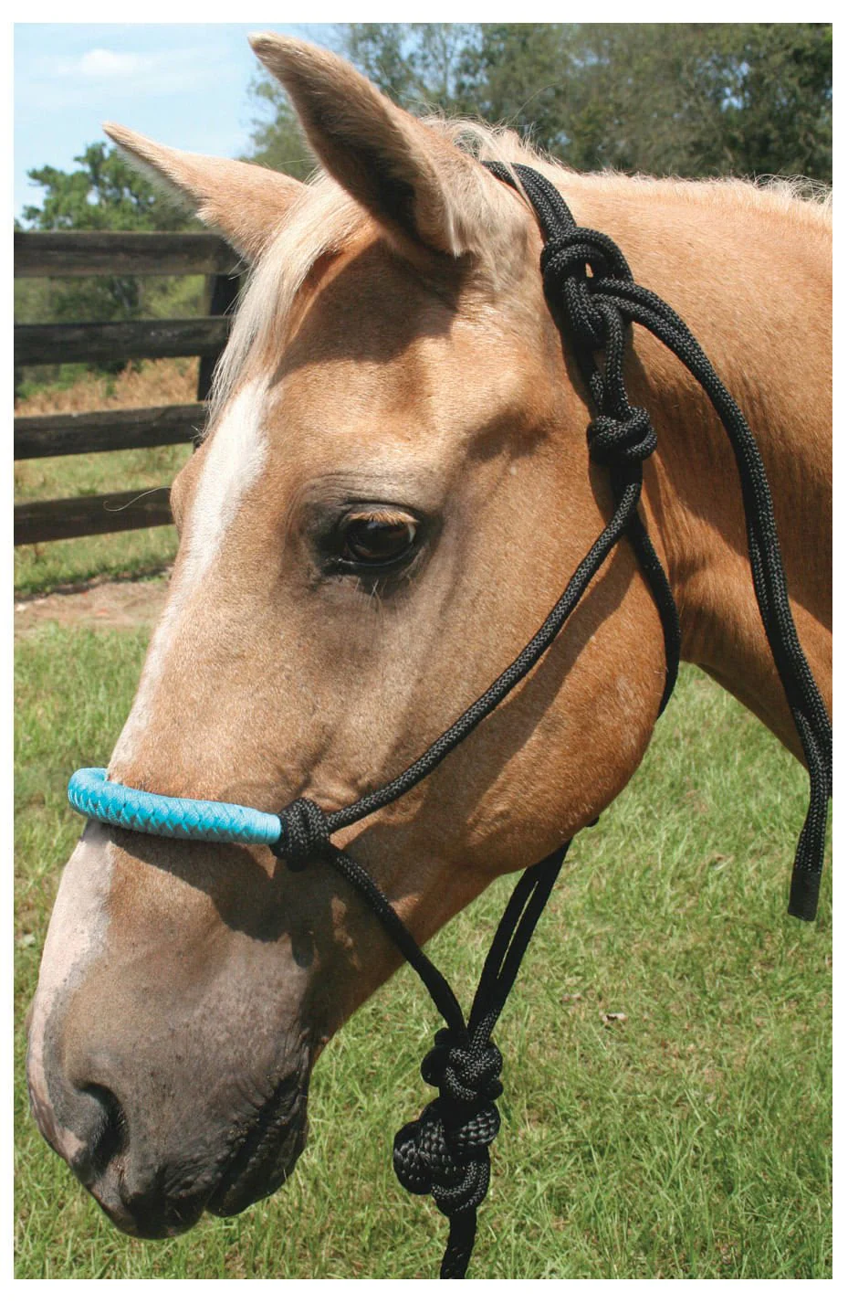 Solid Nose Braided Poly Rope Horse Halter & Lead Set - Healthber