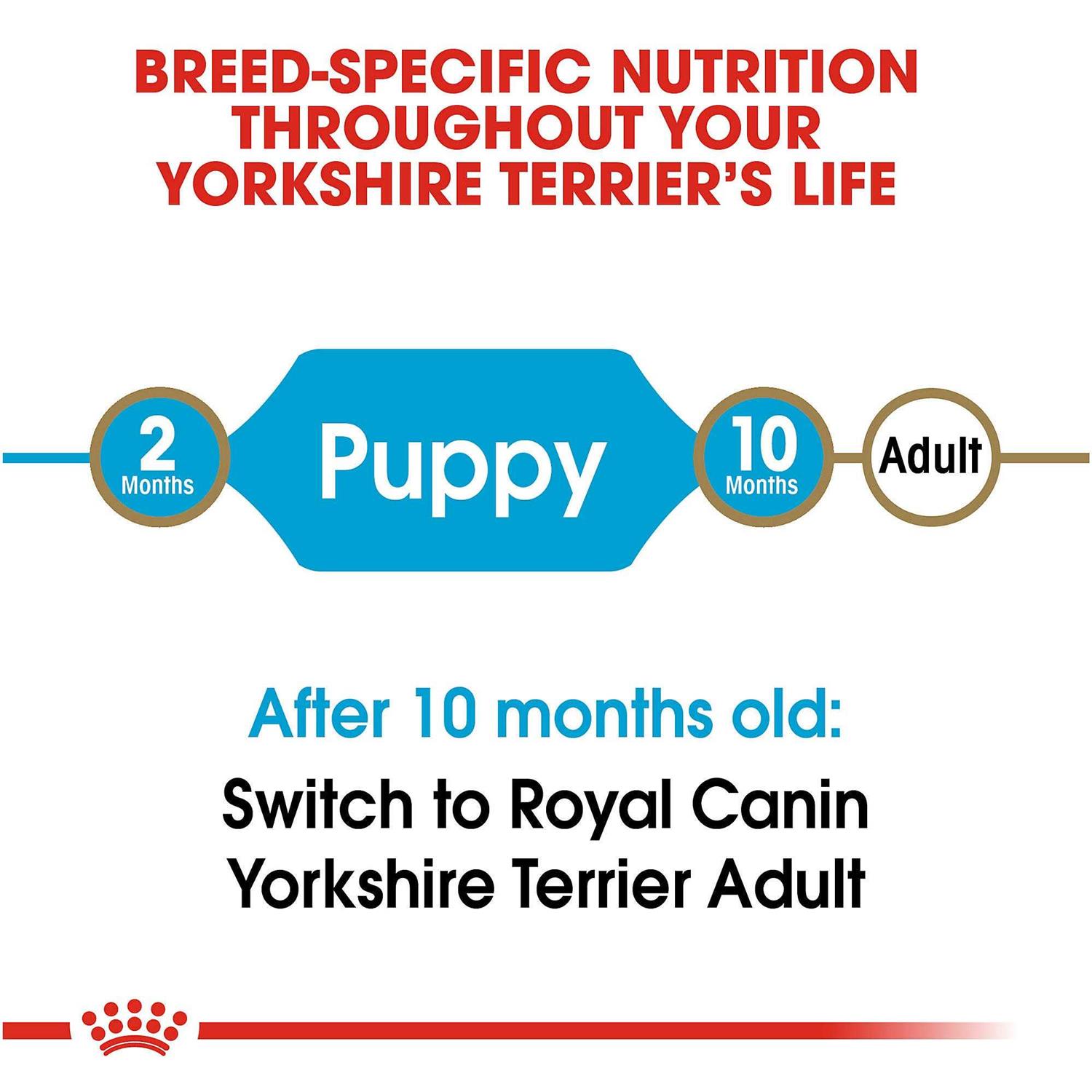 Royal Canin Breed Health Nutrition Yorkshire Terrier Puppy Dry Dog Food - Healthber