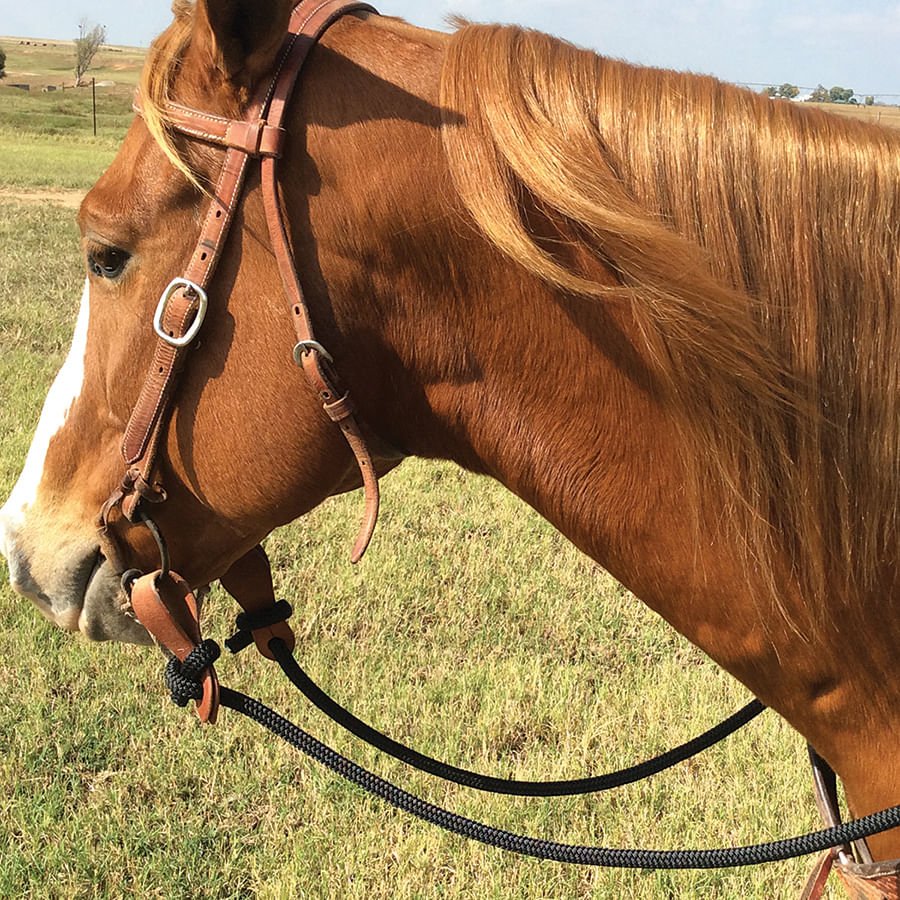 Martin Saddlery 1/2