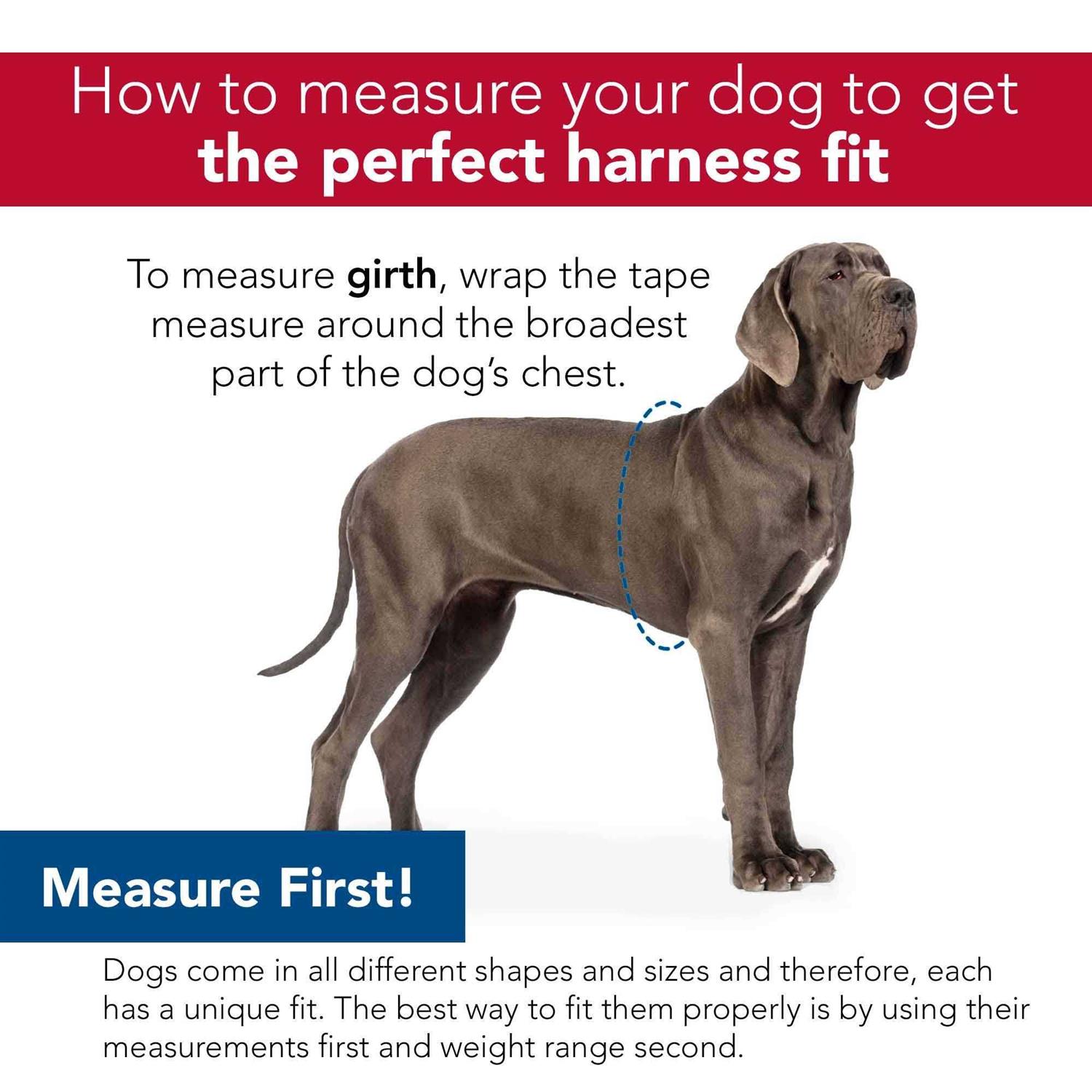 Lil’ Pals Canvas Dog Harness - Healthber