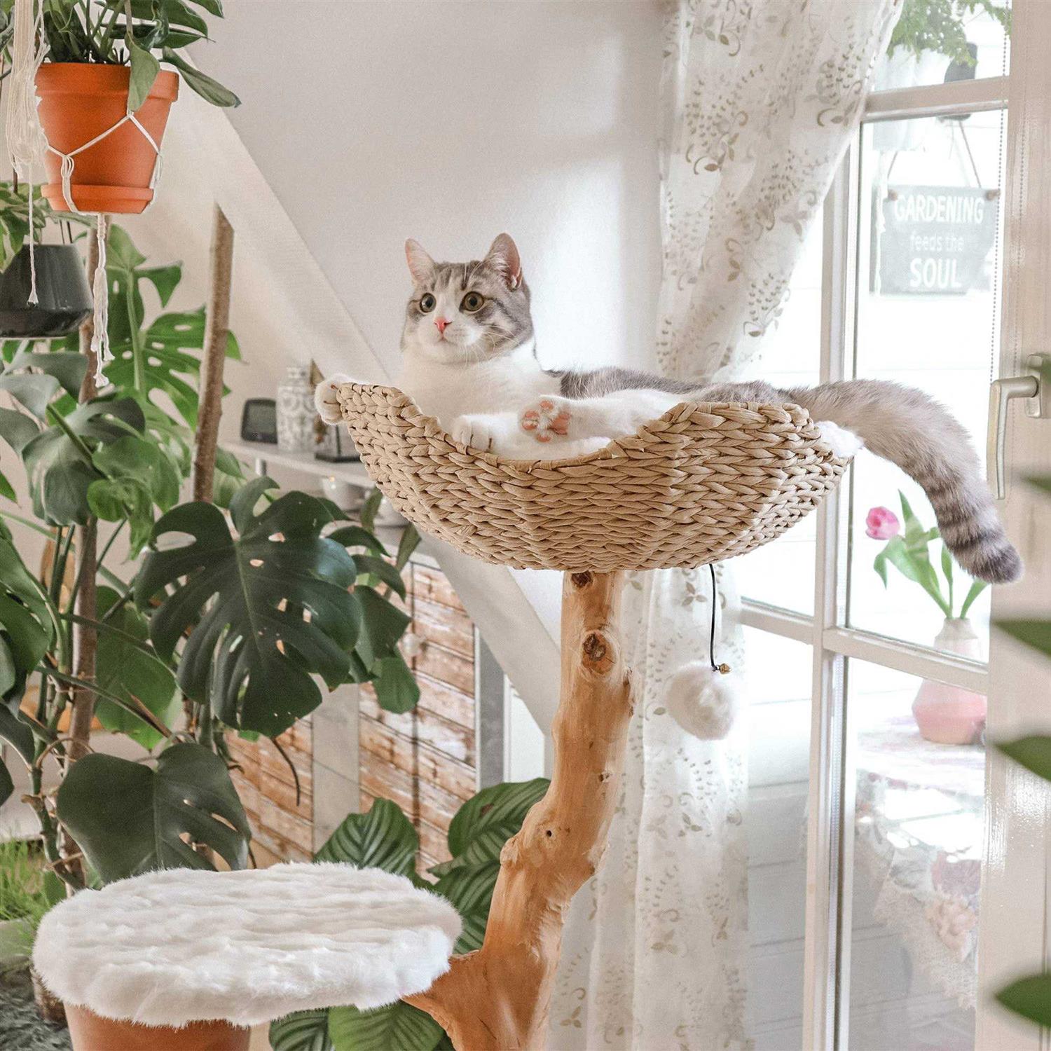 Mau Lifestyle Uni Cat Tree - Healthber