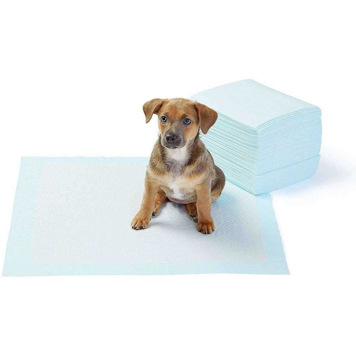 Amazon Basics Dog and Puppy Pee Pads with 5-layer Leak-proof Design and Quick-dry Surface for Potty Training - Healthber