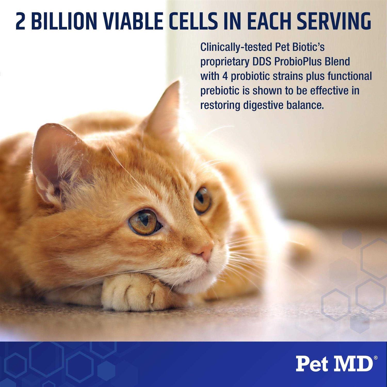 Rx Vitamins Pet Biotic Probiotics for Dogs & Cats - Healthber