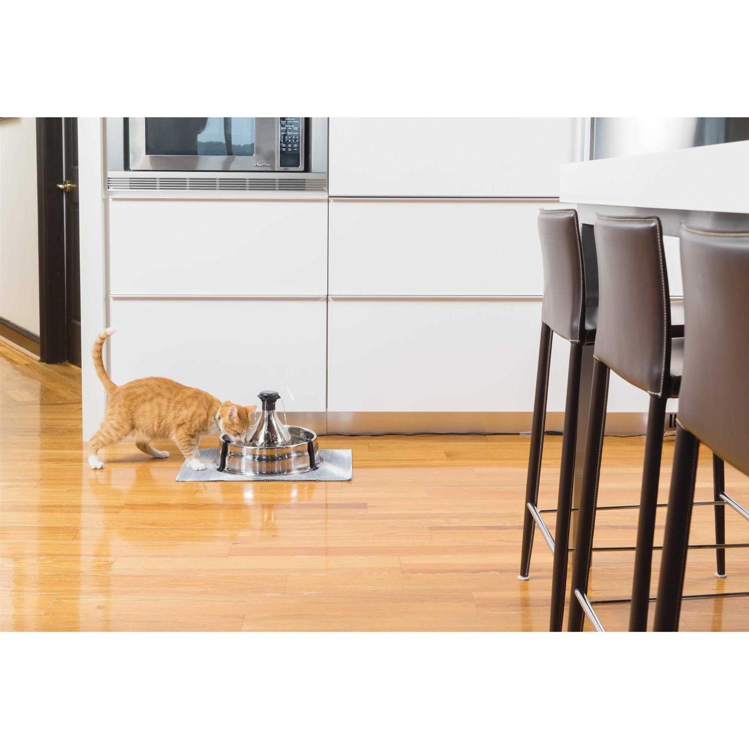 Drinkwell 360 Pet Fountain Stainless Steel PetSafe - Healthber