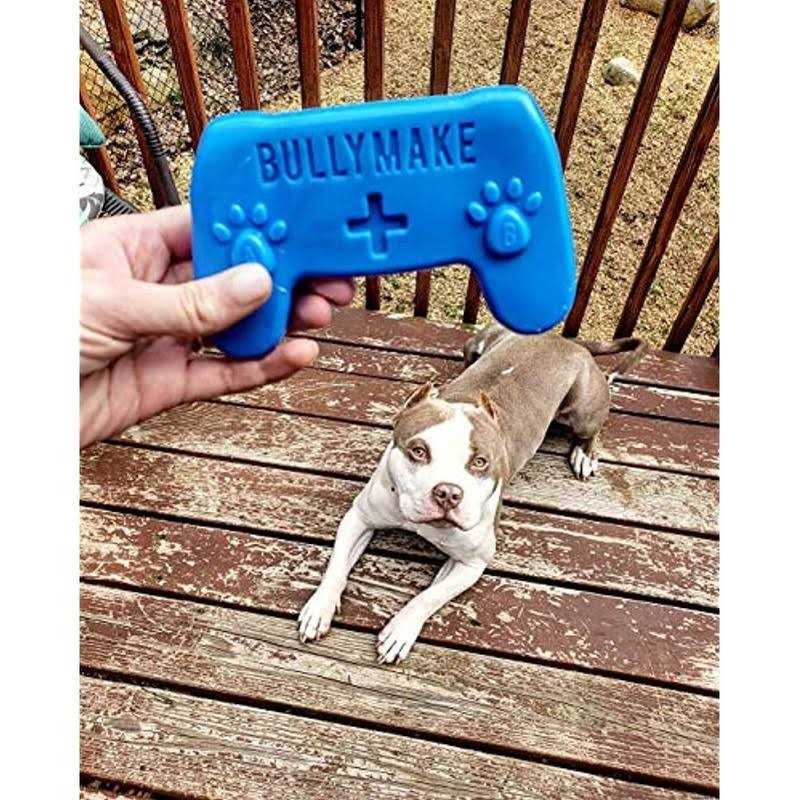 BULLYMAKE Controller Dog Toy - Healthber