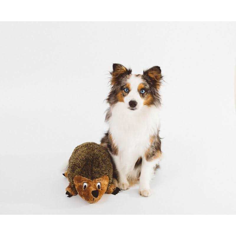 Outward Hound Hedgehogz Plush Dog Toy - Healthber