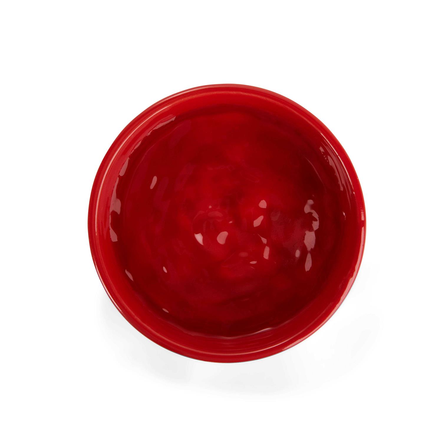 EveryYay Assorted Medium Small Pets Bowl - Healthber