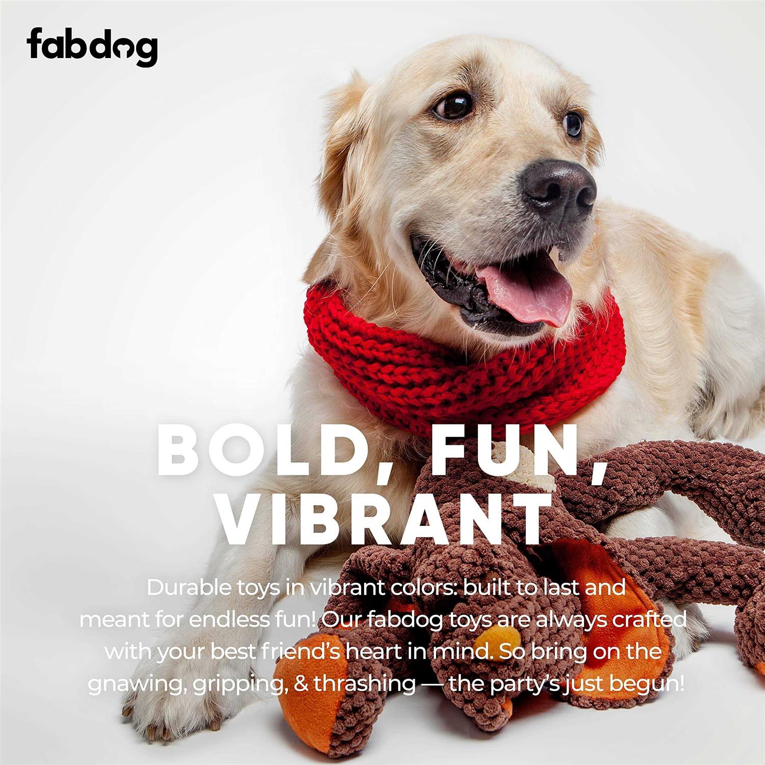 Fabdog Dog Floppy Toy - Healthber