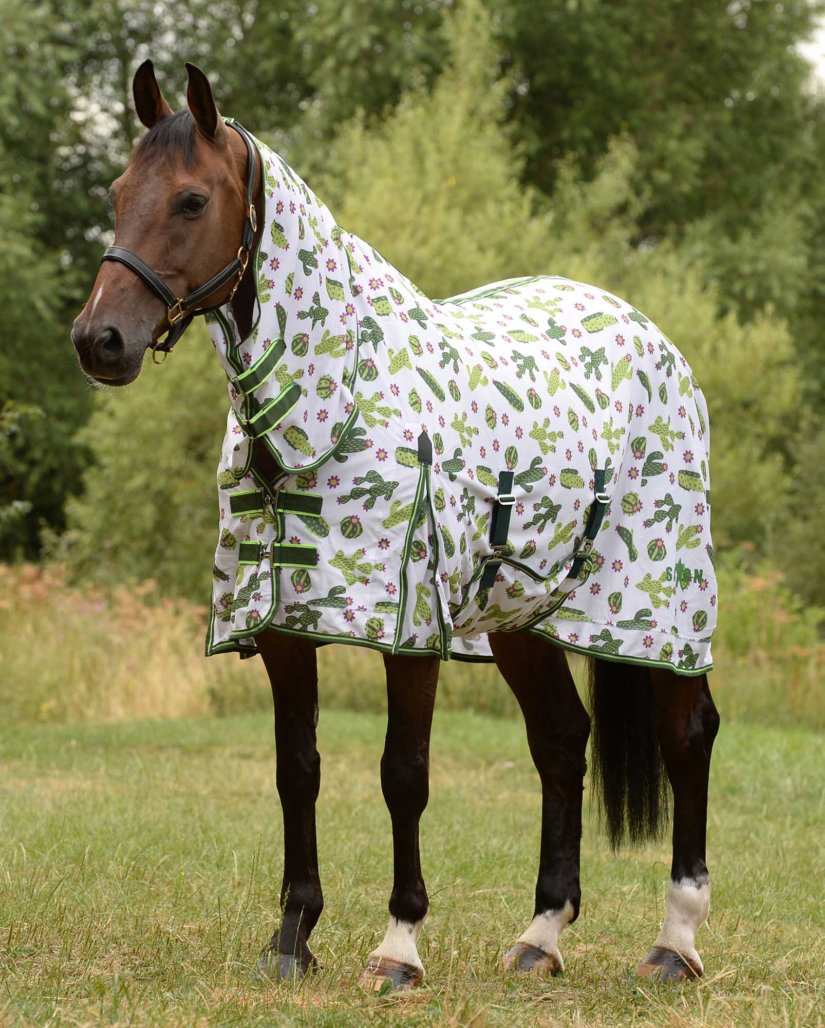 Saxon Combo Neck Horse Fly Sheet with Belly Wrap, Cactus - Healthber