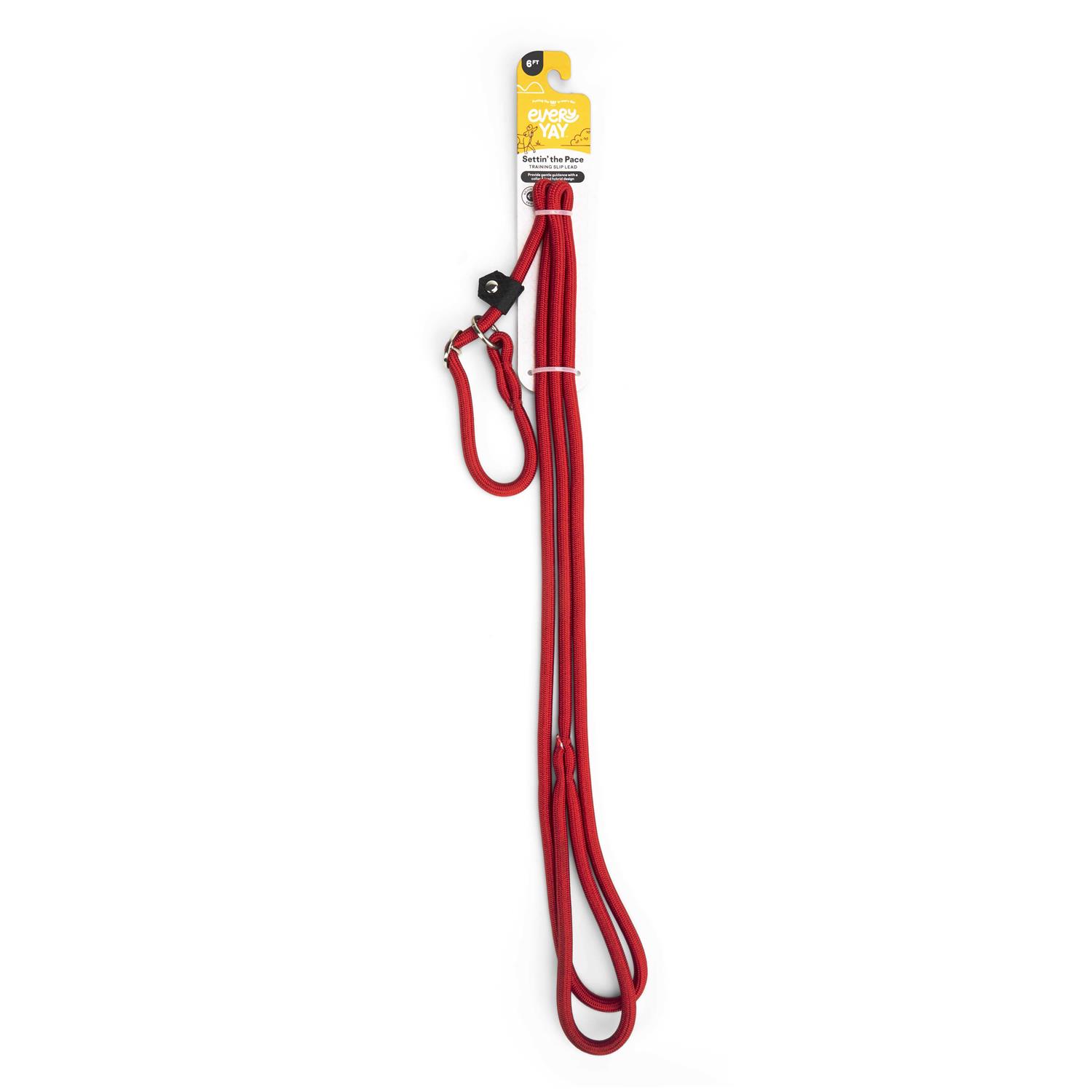 EveryYay Settin’ the Pace Training Rope Slip Lead for Dogs - Healthber