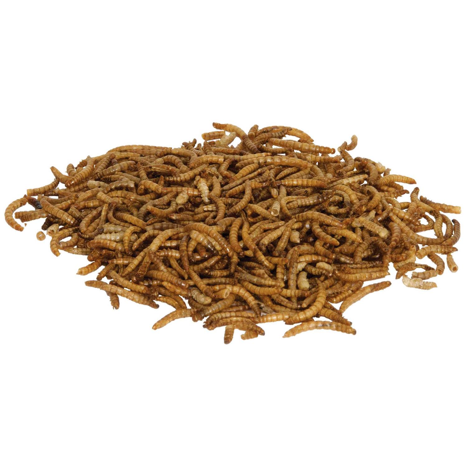 Zilla Munchies Mealworms Reptile - Healthber