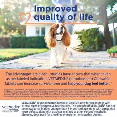 Vetmedin 5mg 1 Chewable Tablet - Healthber