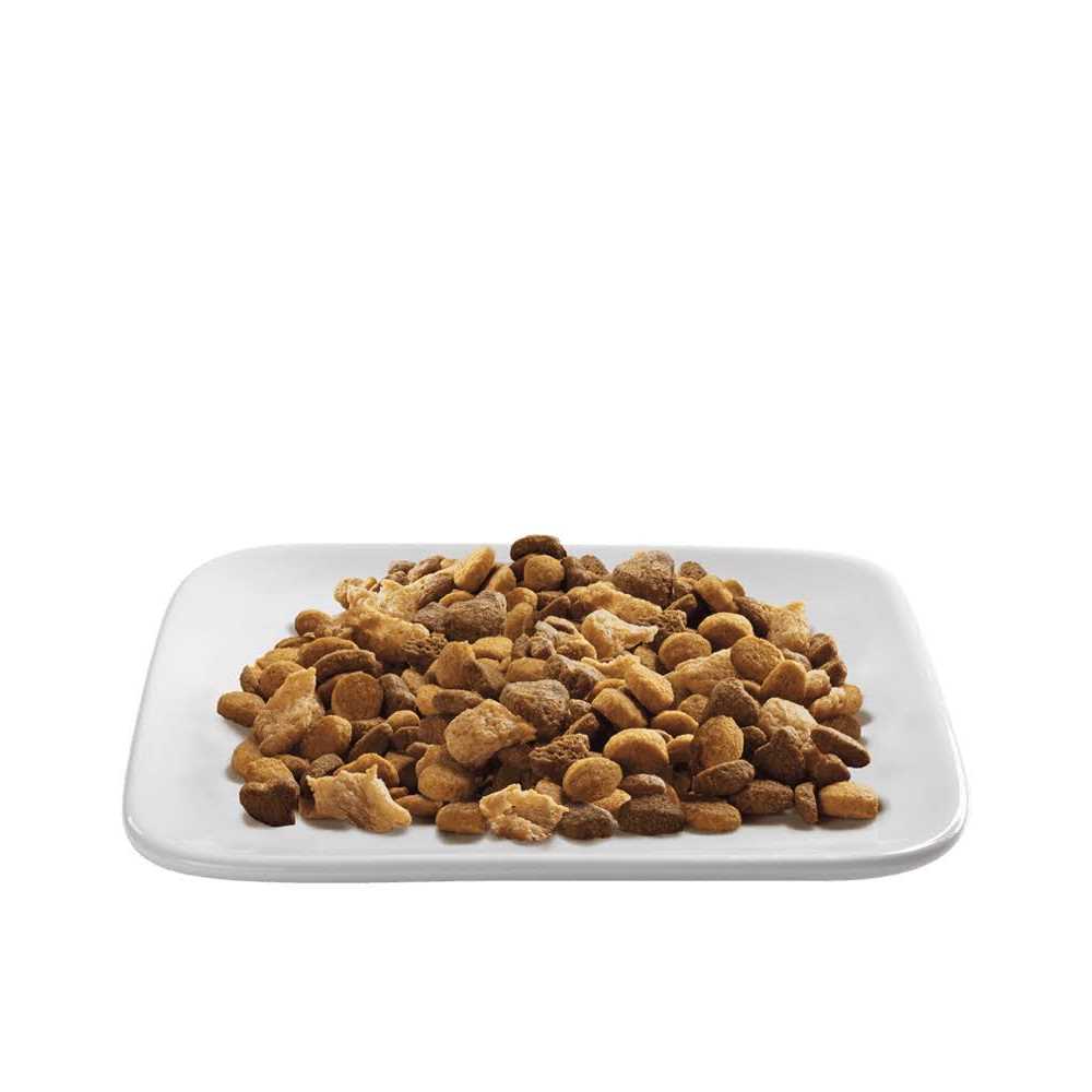 Purina Pro Plan Indoor Hairball Management Shredded Blend Turkey & Rice Formula Dry Cat Food - Healthber