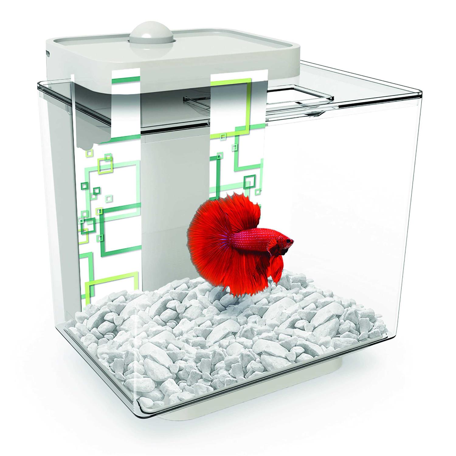 Marina Betta Aquarium EZ Care Plus Kit - Healthber