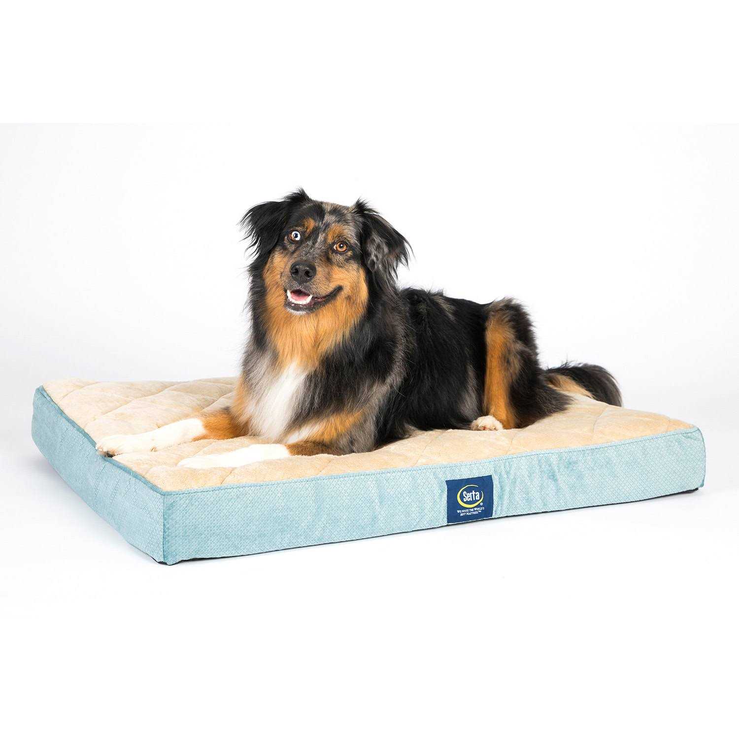 Serta Ortho Foam Quilted Pillowtop Pet Bed - Healthber