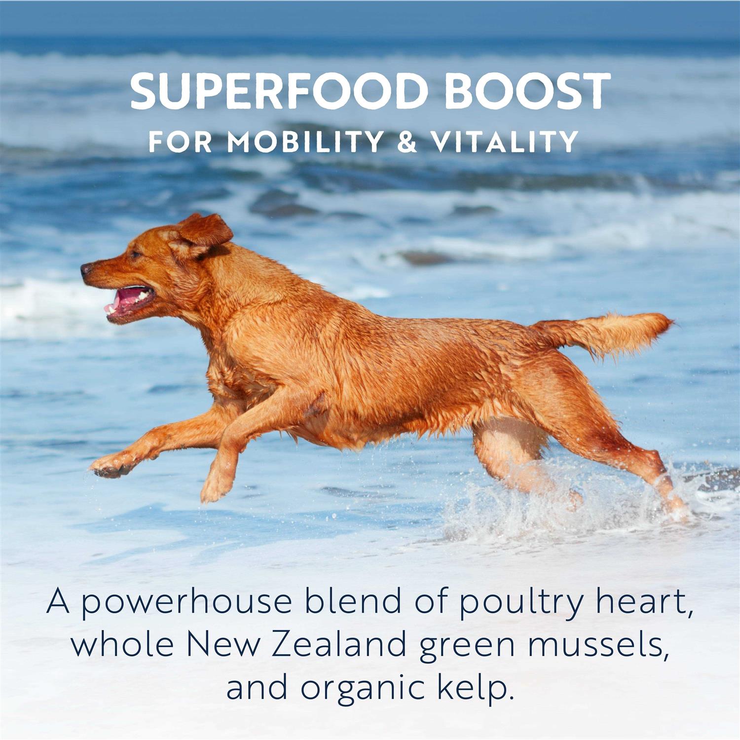Ziwi Peak Air Dried Chicken Dog Food - Healthber