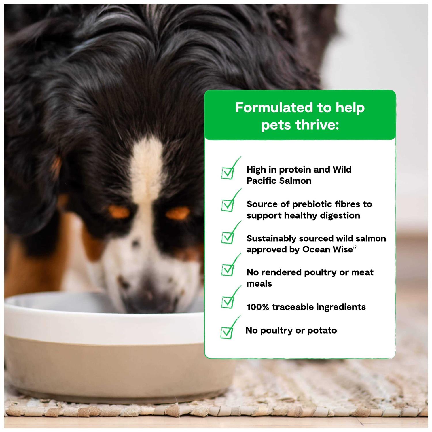 Open Farm Grain-Free Wild-Caught Salmon Dry Dog Food - Healthber