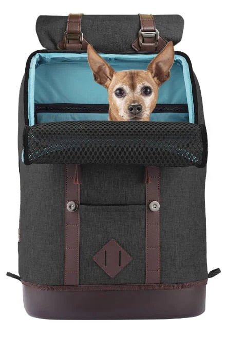 Kurgo K9 Rucksack Pet Carrier - Healthber