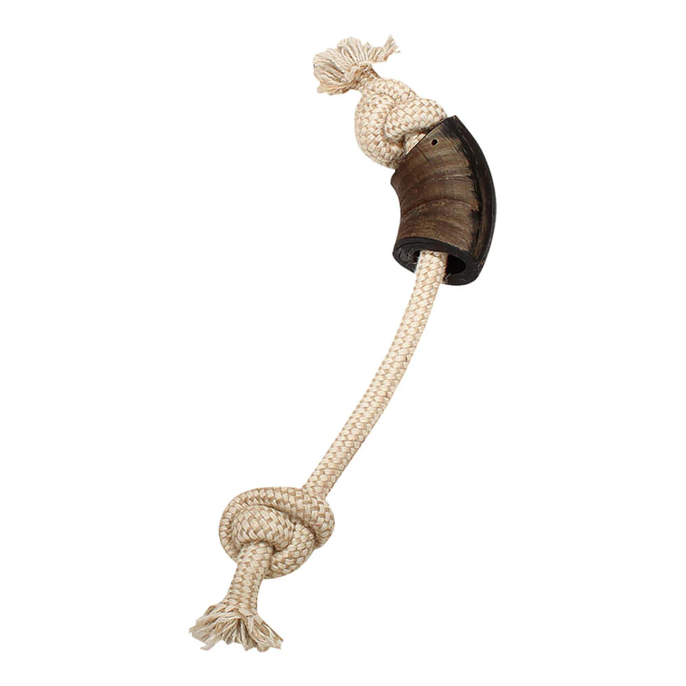 Jutey Family Cotton Horn with Rope Toy, 12