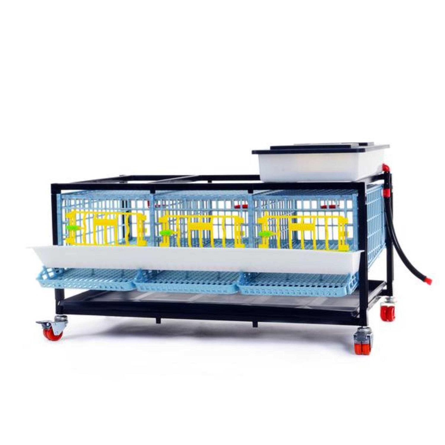 Hatching Time Partridge Cage 1 Layer - Healthber